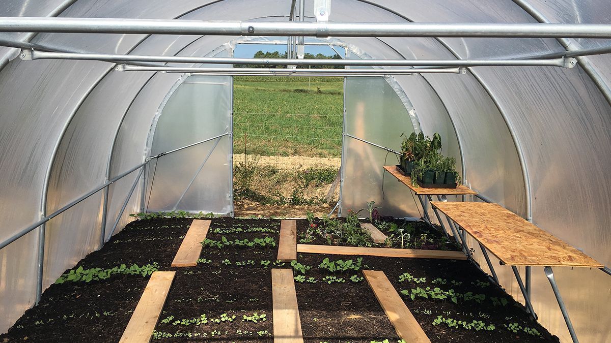 Plantation à l'intérieur d'une serre de jardin